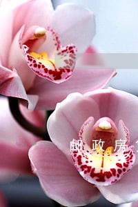 邮政房贷逾期后 邮政房贷逾期后