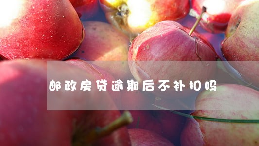 邮政房贷逾期后不补扣吗 邮政房贷逾期后不补扣吗