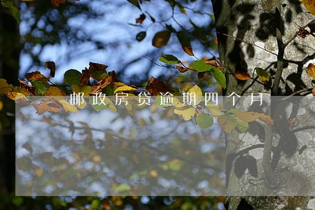 邮政房贷逾期四个月 邮政房贷逾期四个月