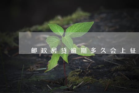 邮政房贷逾期多久会上征信