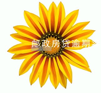 邮政房贷逾期容忍 邮政房贷逾期容忍