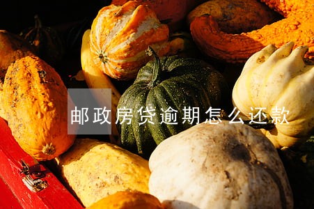 邮政房贷逾期怎么还款 邮政房贷逾期怎么还款