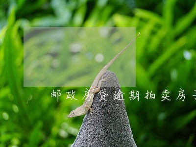 邮政房贷逾期拍卖房子吗 邮政房贷逾期拍卖房子吗