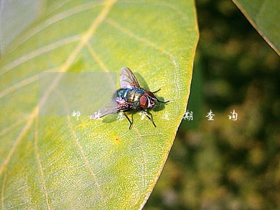 邮政房贷逾期查询 邮政房贷逾期查询