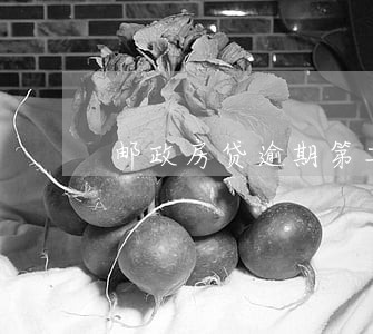 邮政房贷逾期第二天 邮政房贷逾期第二天