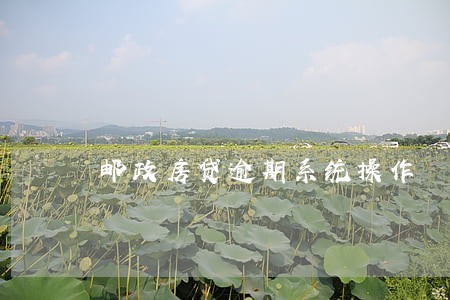 邮政房贷逾期系统操作 邮政房贷逾期系统操作