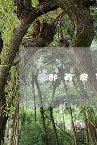 邮政房贷逾期超过六次 邮政房贷逾期超过六次