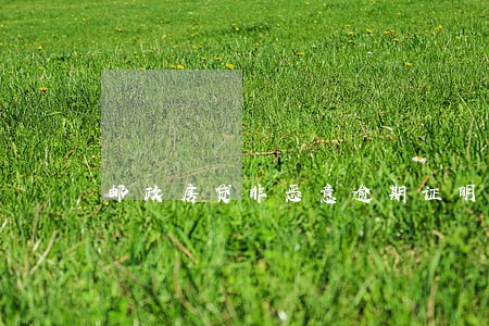 邮政房贷非恶意逾期证明模版 邮政房贷非恶意逾期证明模版