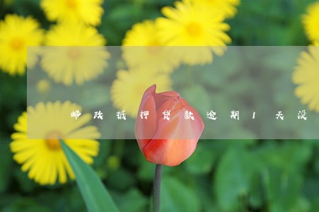 邮政抵押贷款逾期1天没事吧 邮政抵押贷款逾期1天没事吧