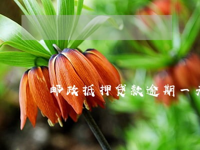 邮政抵押贷款逾期一天补扣 邮政抵押贷款逾期一天补扣