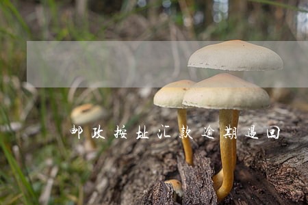 邮政按址汇款逾期退回 邮政按址汇款逾期退回