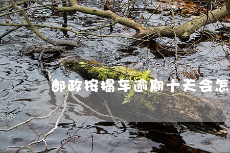 邮政按揭车逾期十天会怎么办 邮政按揭车逾期十天会怎么办