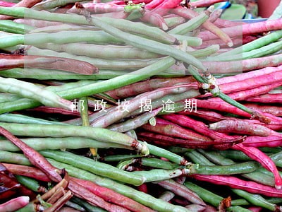 邮政按揭逾期 邮政按揭逾期