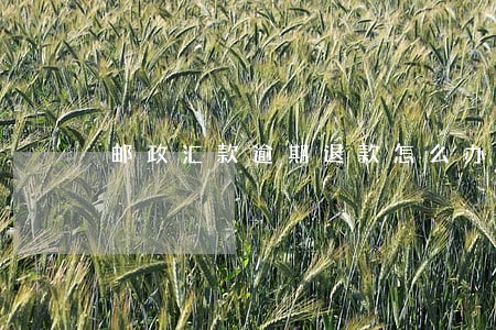 邮政汇款逾期退款怎么办 邮政汇款逾期退款怎么办