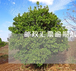 邮政汇票逾期怎么办 邮政汇票逾期怎么办