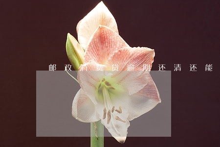 邮政消费贷逾期还清还能借吗 邮政消费贷逾期还清还能借吗