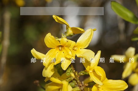 邮政消费金融逾期最长的时间是 邮政消费金融逾期最长的时间是