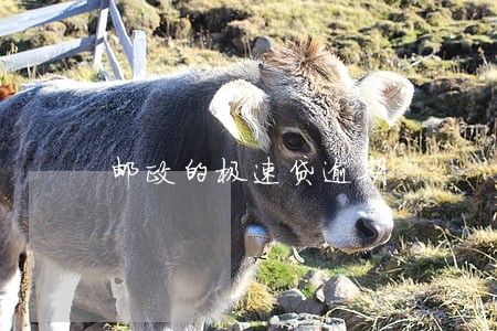 邮政的极速贷逾期 邮政的极速贷逾期