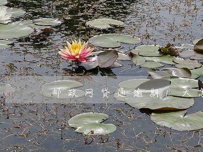 邮政网贷通逾期1天怎么办 邮政网贷通逾期1天怎么办