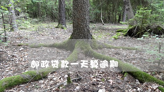 邮政贷款一天算逾期 邮政贷款一天算逾期