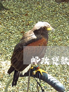 邮政贷款七逾期一天