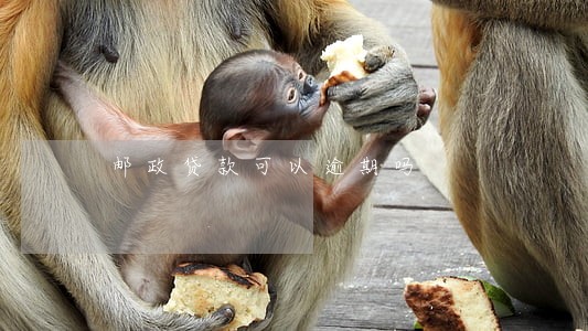 邮政贷款可以逾期吗 邮政贷款可以逾期吗