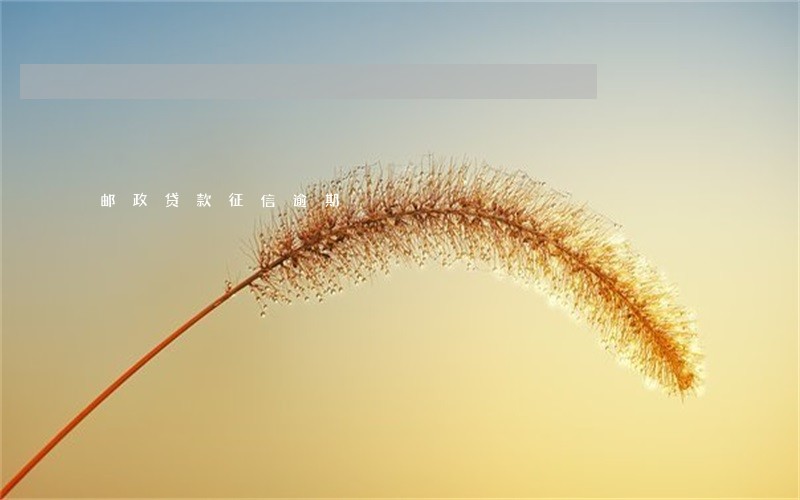 邮政贷款征信逾期