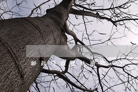 邮政贷款征信逾期一天 邮政贷款征信逾期一天