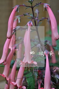 邮政贷款有几次逾期一天的 邮政贷款有几次逾期一天的