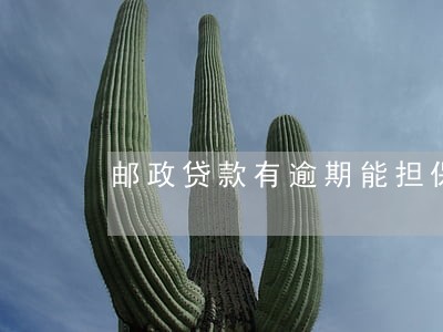 邮政贷款有逾期能担保吗 邮政贷款有逾期能担保吗