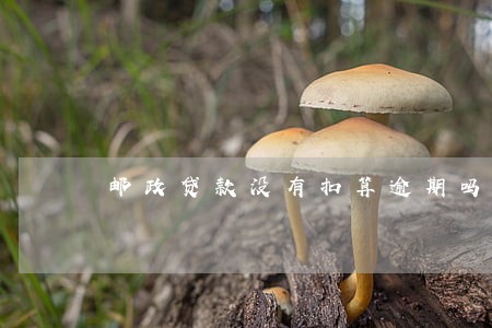邮政贷款没有扣算逾期吗 邮政贷款没有扣算逾期吗