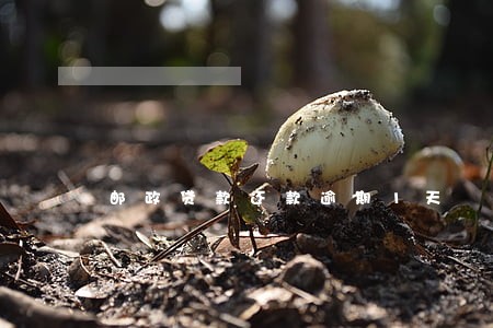 邮政贷款还款逾期1天 邮政贷款还款逾期1天