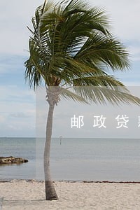 邮政贷款还款逾期怎么办理 邮政贷款还款逾期怎么办理