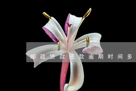 邮政贷款还款逾期时间多久 邮政贷款还款逾期时间多久