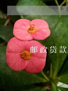 邮政贷款逾期一天会上征信吗 邮政贷款逾期一天会上征信吗