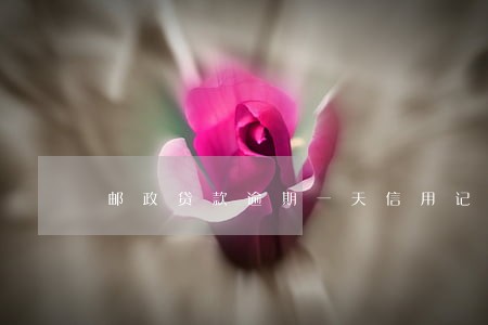 邮政贷款逾期一天信用记录 邮政贷款逾期一天信用记录