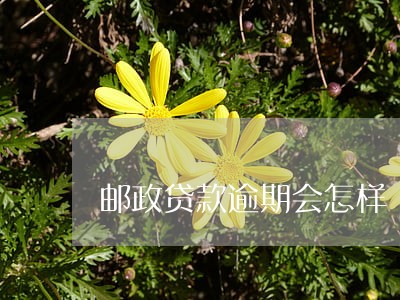 邮政贷款逾期会怎样 邮政贷款逾期会怎样