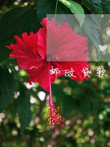 邮政贷款逾期十天 邮政贷款逾期十天