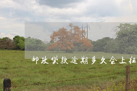 邮政贷款逾期多久会上征信 邮政贷款逾期多久会上征信