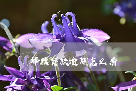 邮政贷款逾期怎么看 邮政贷款逾期怎么看