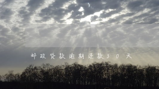 邮政贷款逾期还款30天 邮政贷款逾期还款30天