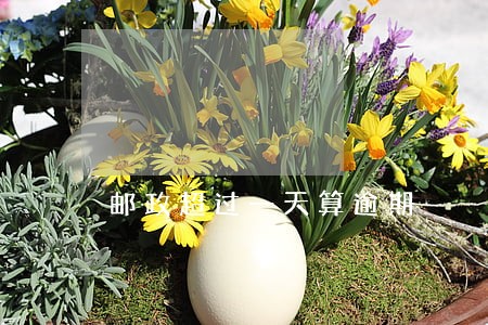 邮政超过一天算逾期 邮政超过一天算逾期