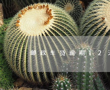 邮政车贷逾期12天怎么办 邮政车贷逾期12天怎么办