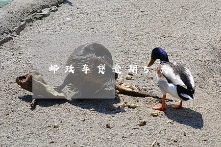 邮政车贷逾期5天