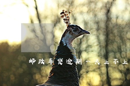 邮政车贷逾期一天上不上征信 邮政车贷逾期一天上不上征信