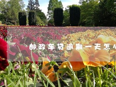邮政车贷逾期一天怎么办上海 邮政车贷逾期一天怎么办上海