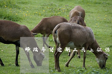 邮政车贷逾期三天上征信吗 邮政车贷逾期三天上征信吗