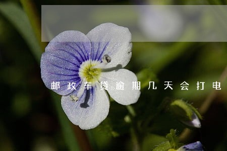 邮政车贷逾期几天会打电话 邮政车贷逾期几天会打电话