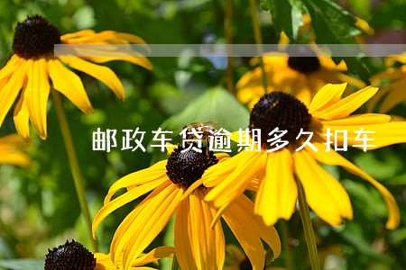 邮政车贷逾期多久扣车 邮政车贷逾期多久扣车