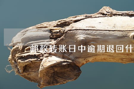 邮政转账日中逾期退回什么意思 邮政转账日中逾期退回什么意思